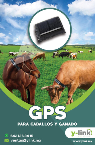 Gps Solar 4g Para Ganado Vacas Caballos Bovinos